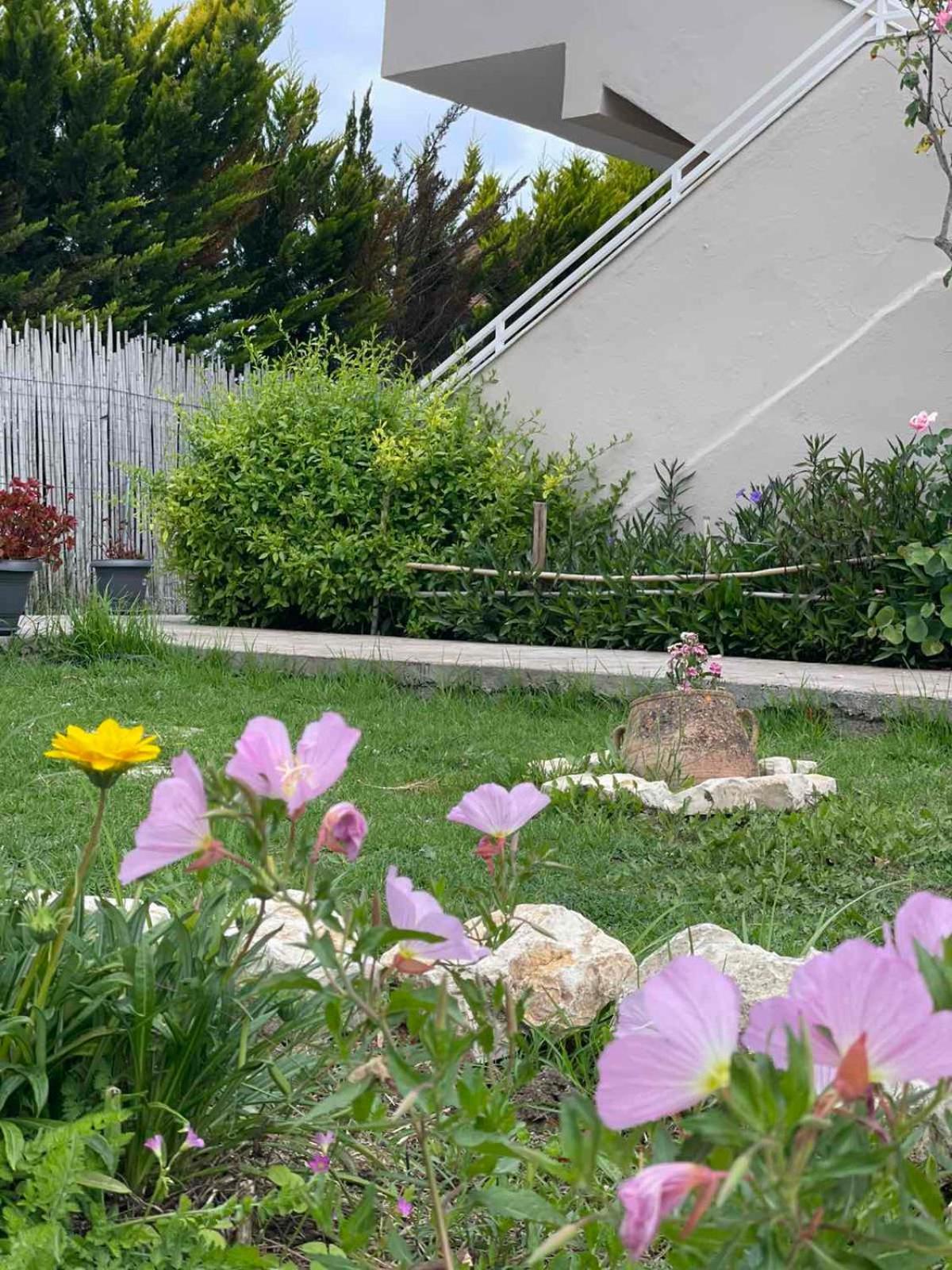 Aspasia Apartments Сидари Екстериор снимка